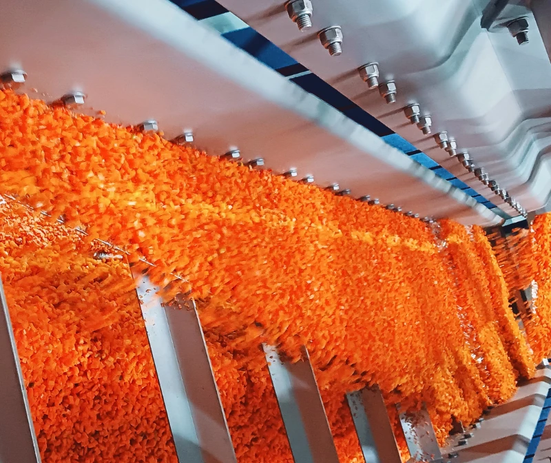 Seasoning scarf feeder conveyor manufacturer in netherlands