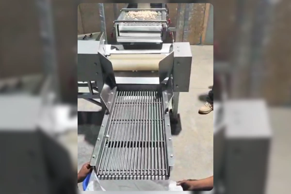 Vibrating-Fox-Nut-Cleaning-Grading-Flat-Removal-Machine-System_shrivibracion