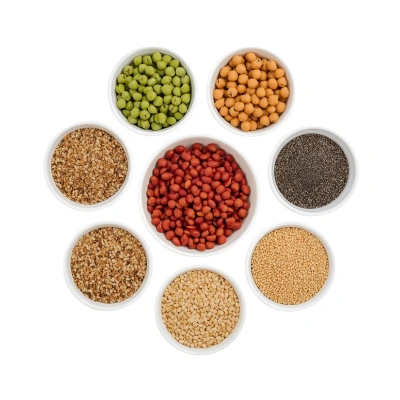 Reliable Material Handling Systems for Grain Industry