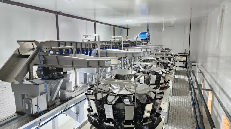 Banner image vibracion (2)