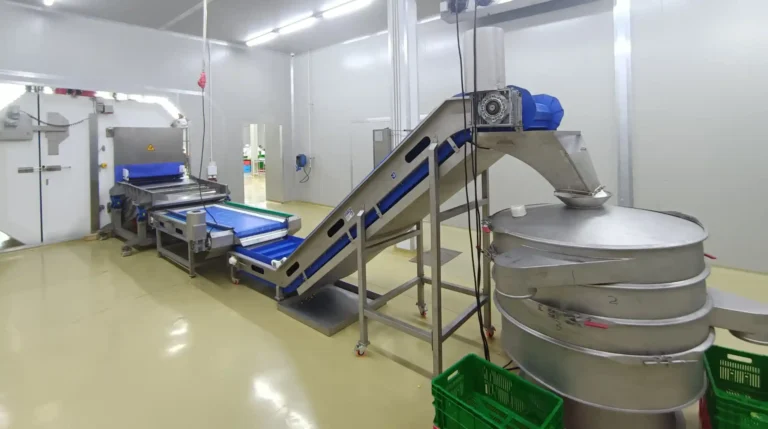 Banner image vibracion (7)