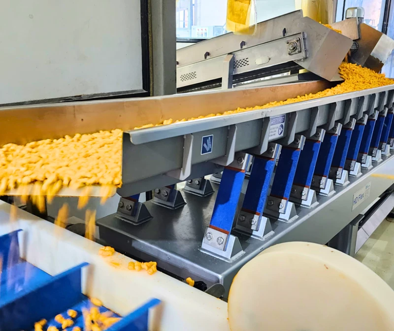 Conveying system shri vibracion tech