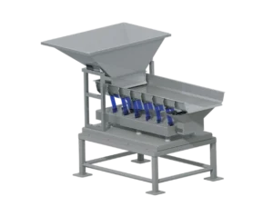 Electromagnetic Screening