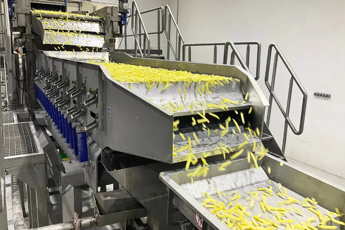 Shri Vibracion Technologies About 2