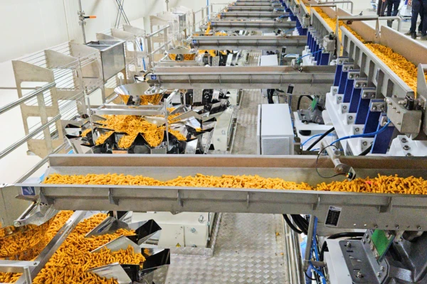 Cross Conveyor Real Image