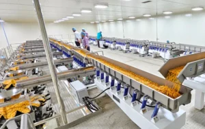 Material Handling Vibrating Conveyors