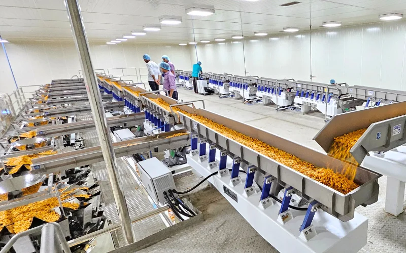 Material Handling Vibrating Conveyors