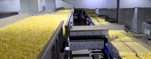 French Fries Processing Machines Manufacturer in India – Proven Solutions for the French Fries Industry