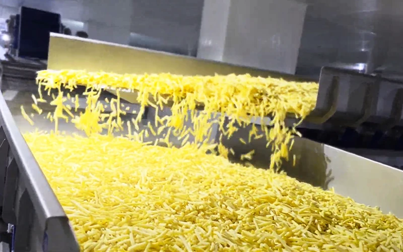 French Fries Processing Machines Manufacturer in India_Shri Vibracion Technologies_01