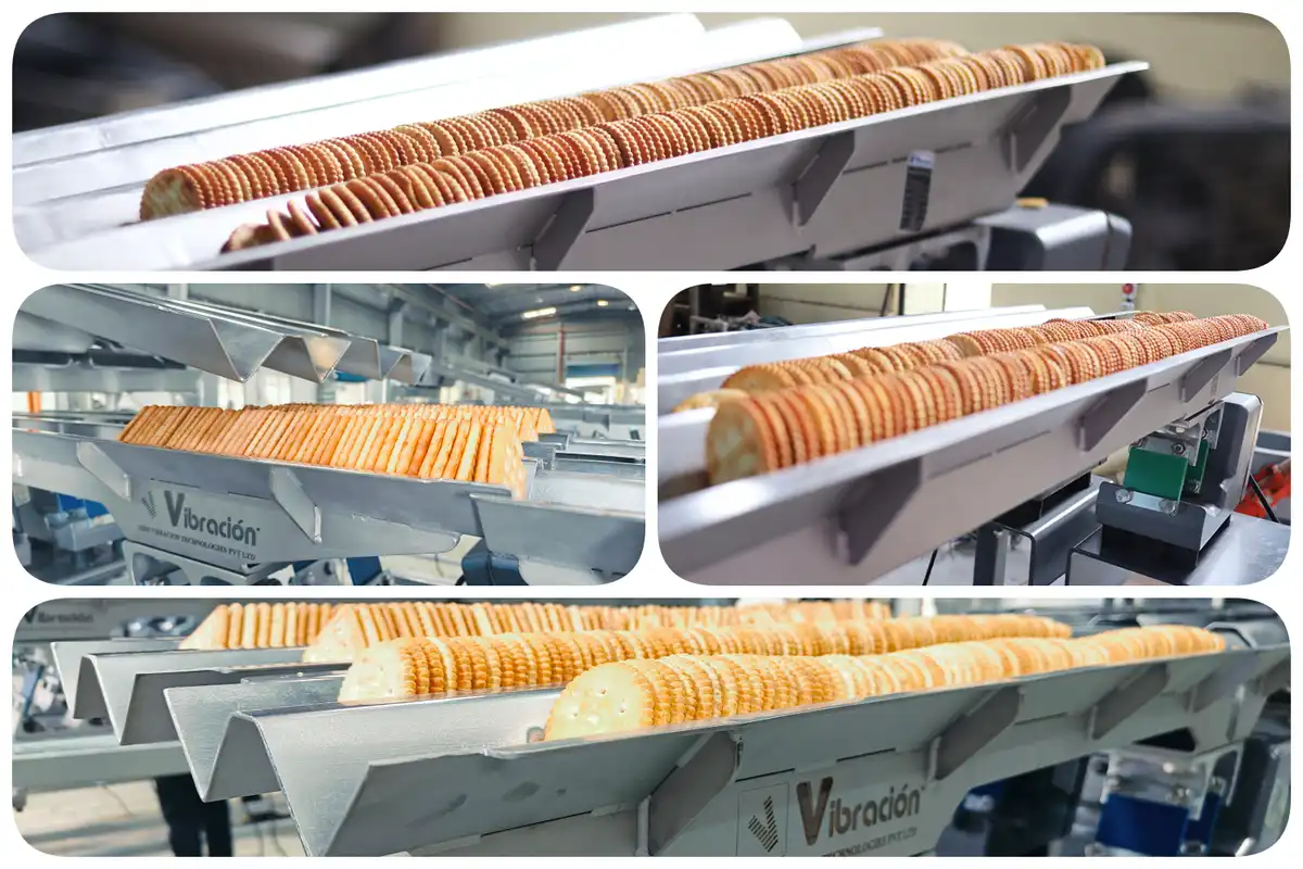 Biscuit Handling Systems The Backbone of Modern Biscuit Manufacturing