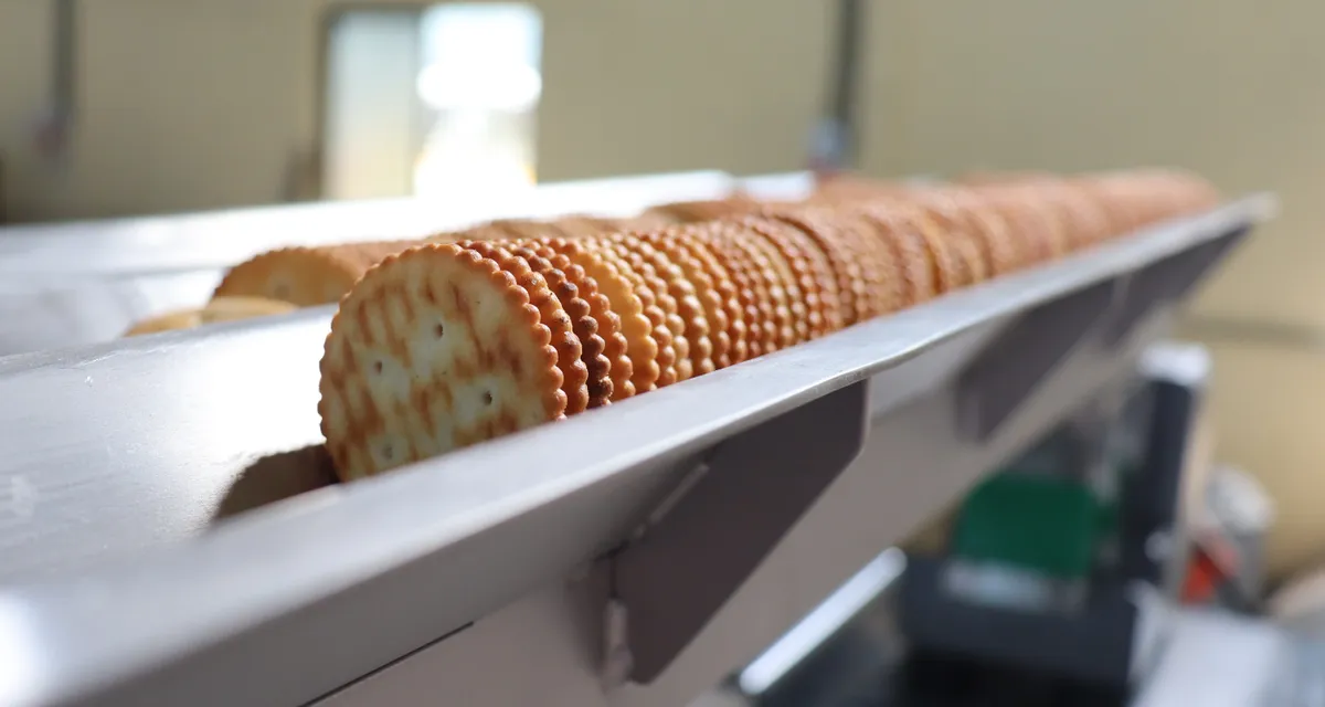 Biscuit Handling Systems The Backbone of Modern Biscuit Manufacturing_Vibracion